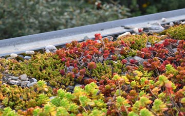 the cost of Braydon Side green roof installation