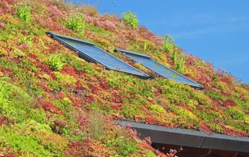 Braydon Side living roof systems