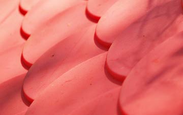 Braydon Side plastic roof costs