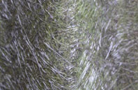 Braydon Side fibreglass roof work